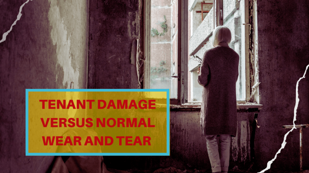 Tenant Damage versus Normal Wear and Tear | Beaufort Property Management - Article Banner